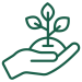 planting-tree